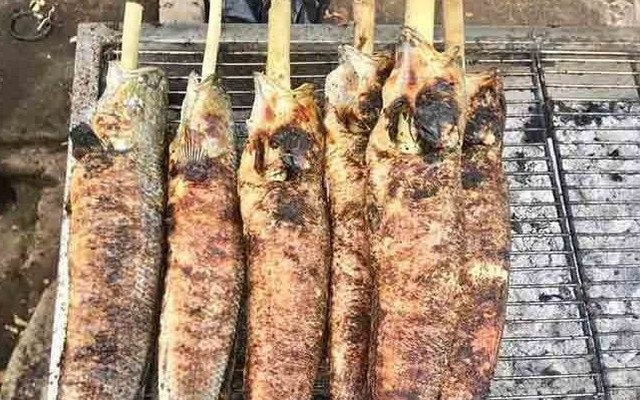 Cá Lóc Nướng Mía Quán 66 - Cá Lóc Thấu Sự Đời