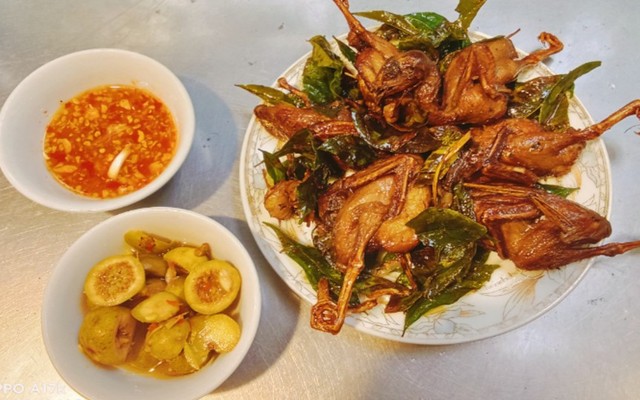 Chim Cút Quay Lá Mắc Mật - Trang Nguyễn