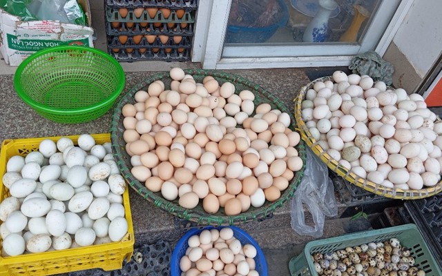 Đại Lý Trứng & Gạo - Phú Diễn