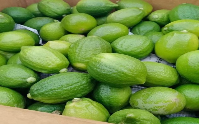 Trà Chanh Giã Tay & Trà Sữa Pozaatea - Hoàng Đạo Thành
