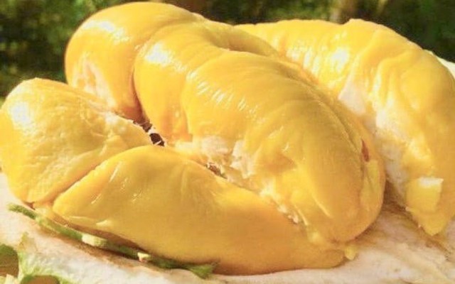 Sầu Riêng Hồng Phúc - KDC Việt Sing