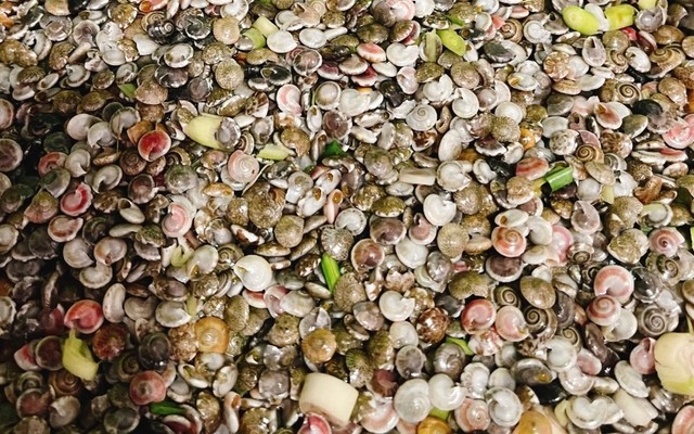 Ốc Lễ Hồng - Chợ Bắc Mỹ An