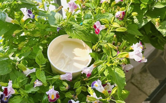 Tàu Hủ Tươi Lạnh Tofu - Cơm Tấm 27