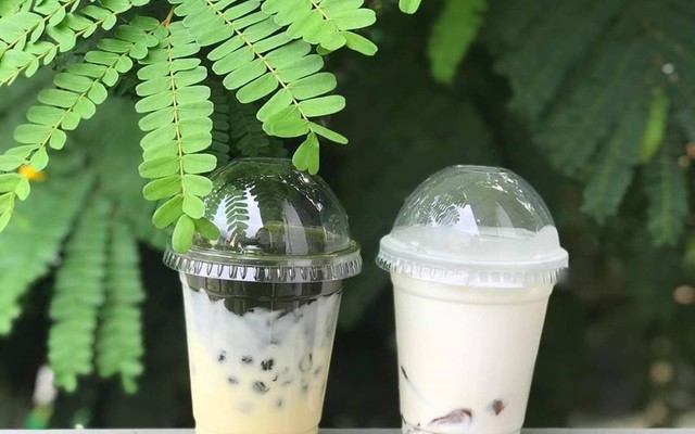 Rau Má Sữa Dừa 82 - Lê Văn Tách