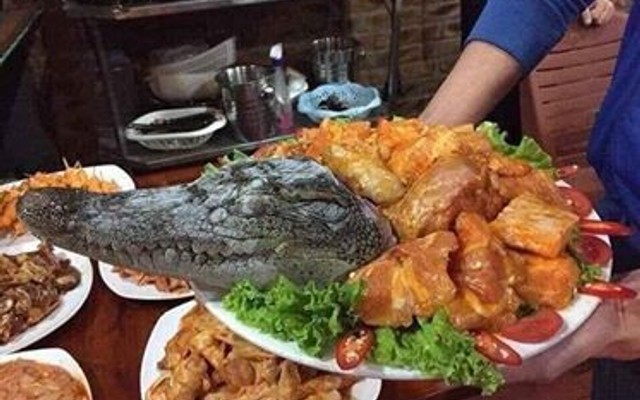 Zin Zin - Thịt Cá Sấu Quay Lu - Đặng Vũ Hỷ