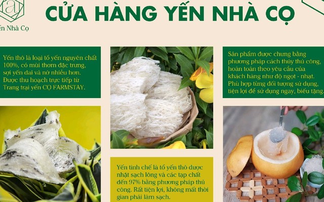 Yến Nhà Cọ - Yến Sào - Phạm Kiệt