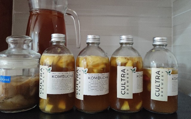Love Kombucha - Trà Kombucha - Trích Sài