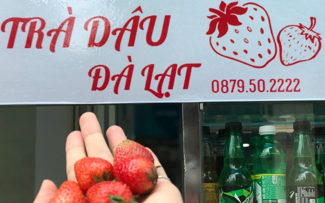 Trà Dâu Đà Lạt - Take Away  - Thống Nhất