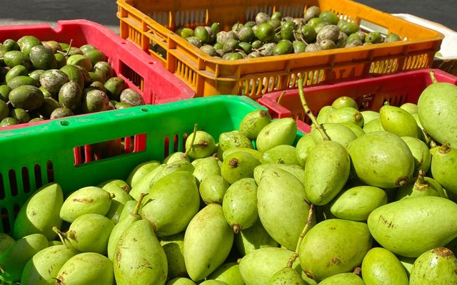 Tiemcuamin - Ăn Vặt - Dương Quảng Hàm