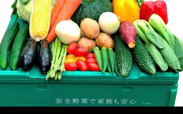 Syun - Rau Sạch Theo Tiêu Chuẩn Nhật Bản - Đào Tấn