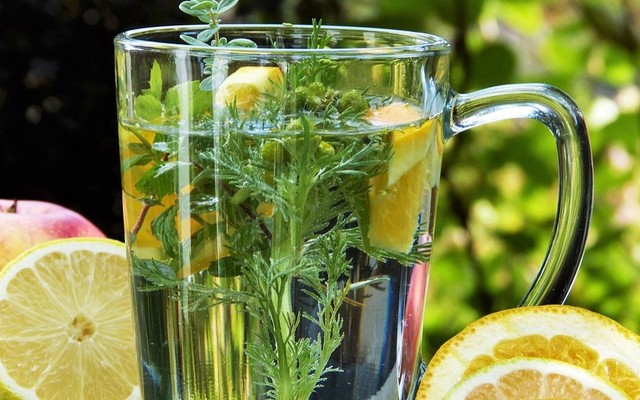 Quê Miền Tây - Nước Thảo Mộc - Võ Văn Kiệt