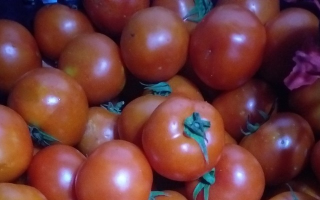 Rau Củ Quả Sạch Thùy Linh - Nguyễn Ngọc Vũ