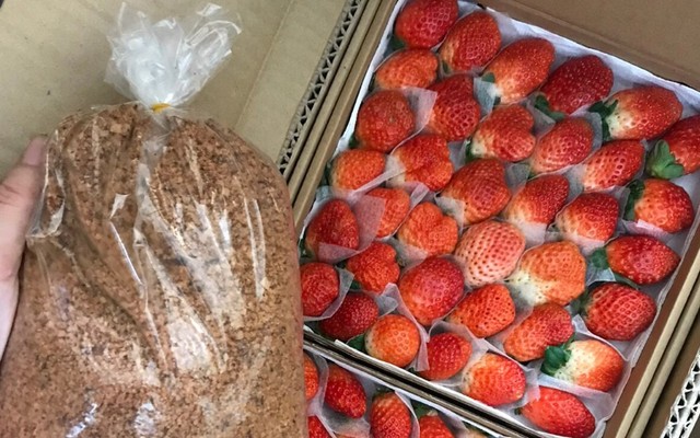 CALEM SISTERS - Rau Củ & Trái Cây - Đường 18B