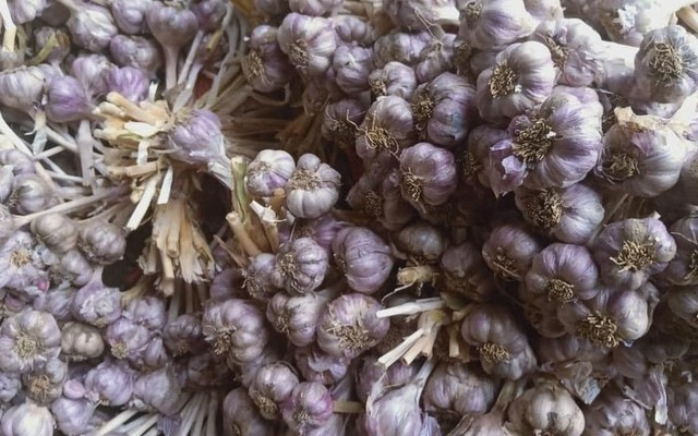 Minh Khang - Hành Tỏi Khô - Vạn Phúc