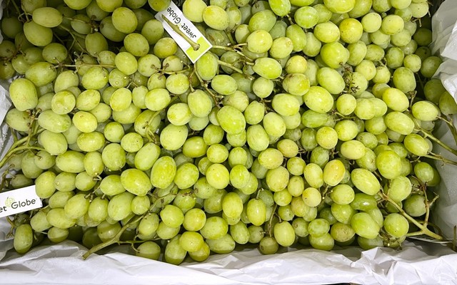 V Fruits - Trái Cây Nhập Khẩu - Hàn Hải Nguyên