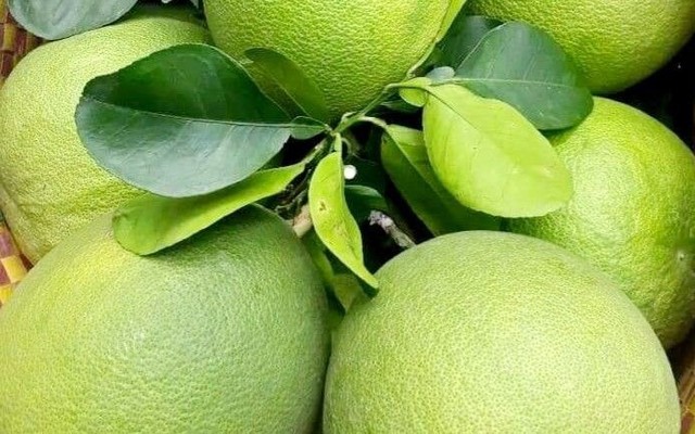 Happy Fruit - Trái Cây Miền Tây