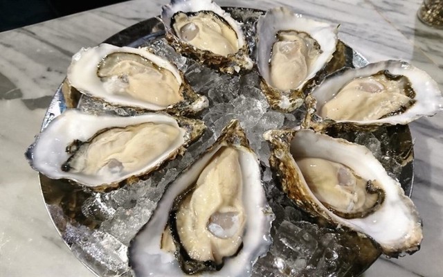 Hàu Quảng Ninh - Hàu Sữa Tươi Sống - Mễ Trì Thượng