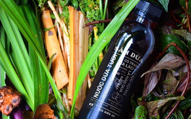 Dừa Kiến An - Dừa Tiện Lợi - Trần Xuân Soạn