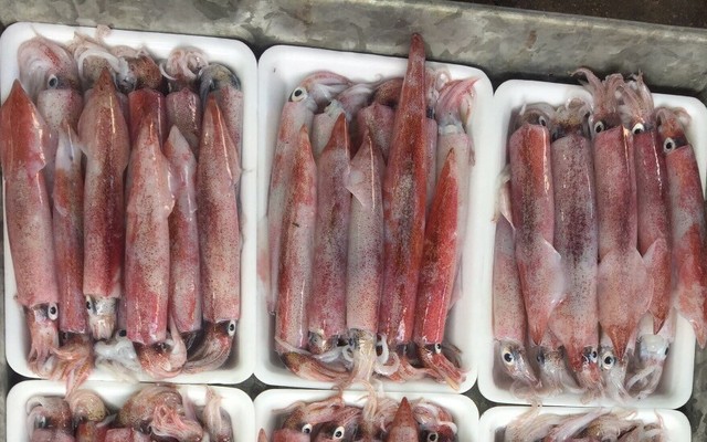 Hương Biển Food - Hải Sản Đông Lạnh & Đặc Sản Phan Thiết - 71A Đường 24