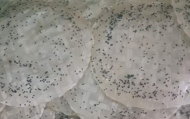 Đặc Sản Quãng Ngãi - Bánh Tráng Nướng - Bùi Quang Là