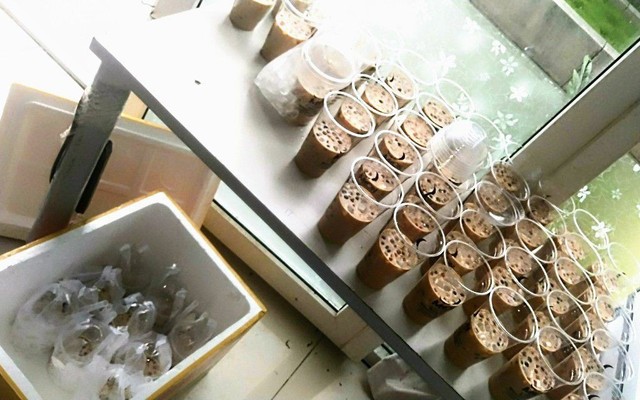 Ăn Vặt Moon - Trà Sữa & Trà Giải Nhiệt