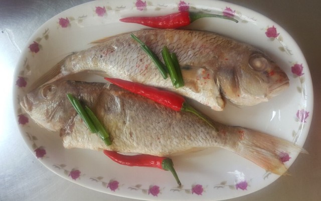 Phá Lấu Ngành Ký - Hồng Bàng