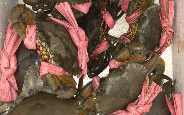 Tingting Food - Gà Cay & Cá Viên