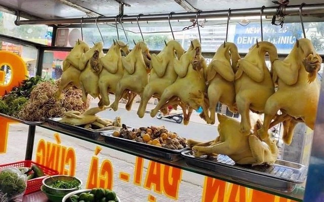 Gà Ta Hội An Thanh Thảo - Vĩnh Lộc