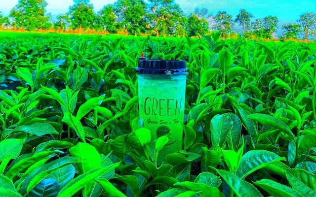 Greensea's Tea - Cafe & Rau Má - Phạm Văn Đồng