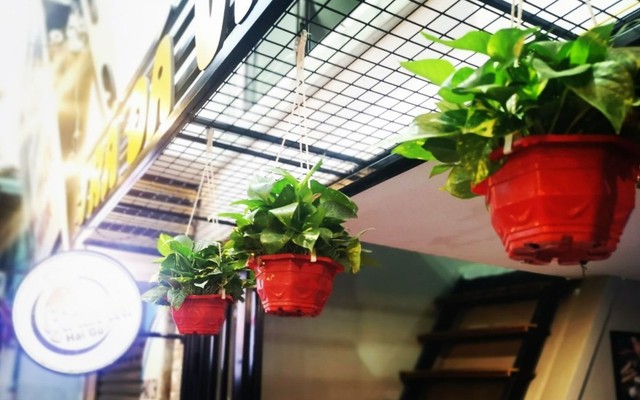 Trà Đá Vỉa Hè - Hoàng Minh Thảo