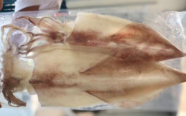 Hải Sản Minh Thư - Mực Một Nắng - 08 Trần Tấn Mới