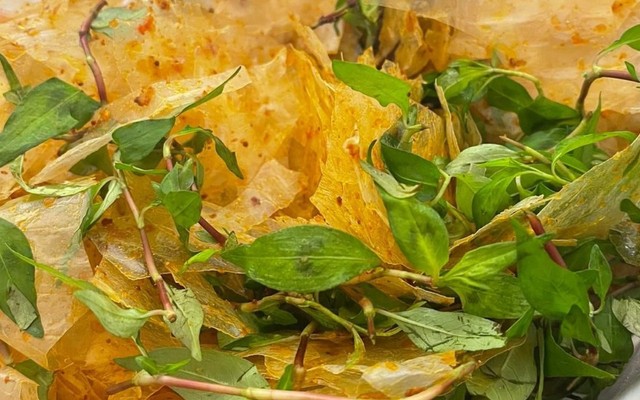 Bánh Tráng Tỏi Ớt Vân Đèo Le - Bánh Tráng Tỏi Ớt - Nguyễn Thị Minh Khai