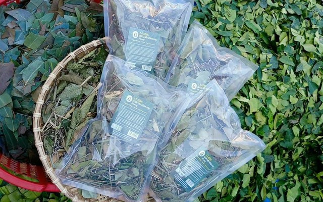 Tiệm Tạp Hóa Của Xoài - Lá Xông & Lều Xông - Nguyễn Hữu Thọ