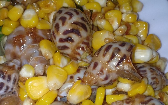 Ốc Hẻm 435 - 435/8 Đường Tân Sơn