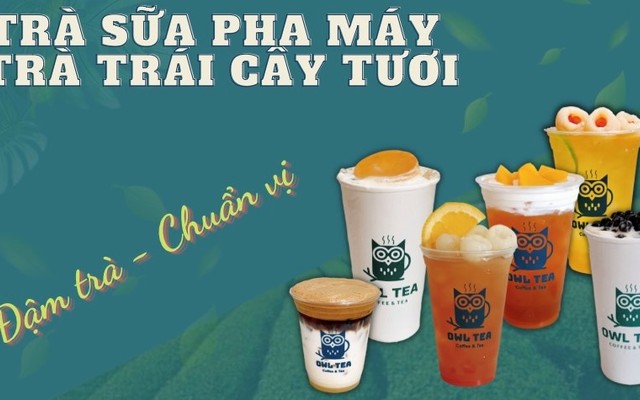 OWL TEA - Chu Mạnh Trinh