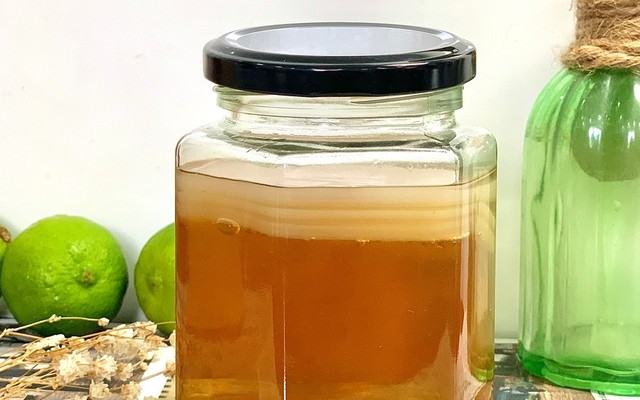 Kombucha Planet - Kombucha - Đặng Tiến Đông