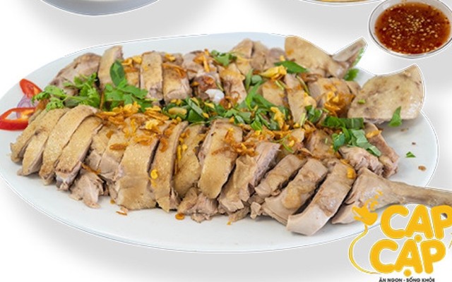 Cháo Gỏi Vịt Cạp Cạp - 50 Nguyễn Thái Bình