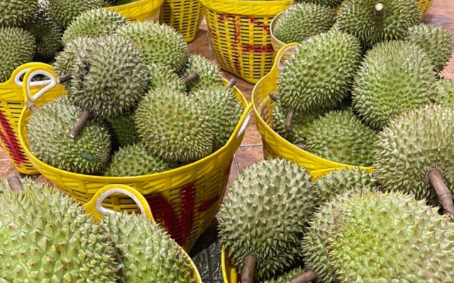 Sầu Riêng Ngọc Thắm - 31 Phan Văn Hân