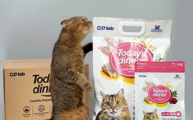 Petty Petshop Yên Bình HĐ - Phố Yên Bình