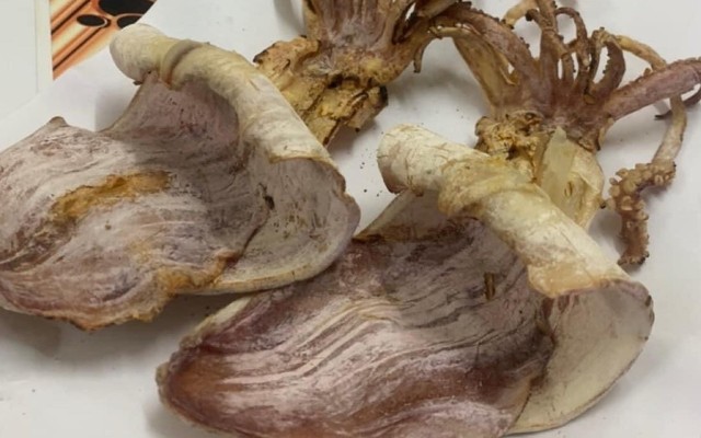 Mực Nướng, Hàu Nướng & Hải Sản Nướng - Miếu Đầm