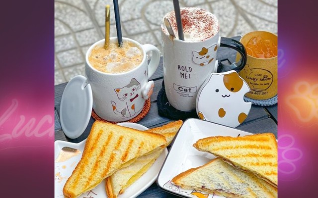 LUCKY MEOW - Cafe, Trà Sữa & Điểm Tâm