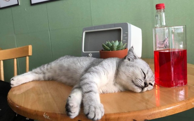 Hillu Coffee - Bến Phà