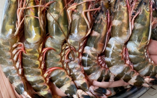 Hảo Seafood - Hải Sản Tươi Khô 1 Nắng
