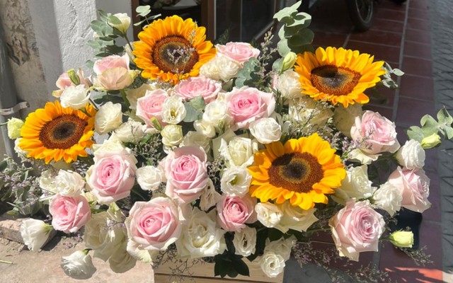 DK ORCHISD FLOWER - Hoa Lan Hồ Điệp - 221 Trần Cung