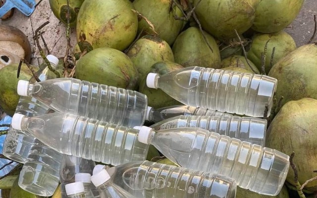 Vựa Dừa Nga Nguyễn - Nguyễn Trường Tộ