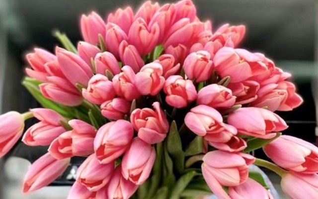 Tiệm Hoa Annie Flora - 1080 Đường Láng