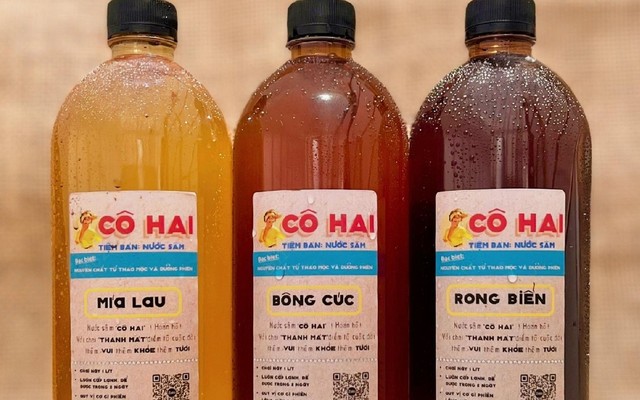 Cô Hai - Nước Sâm - Lê Văn Sỹ