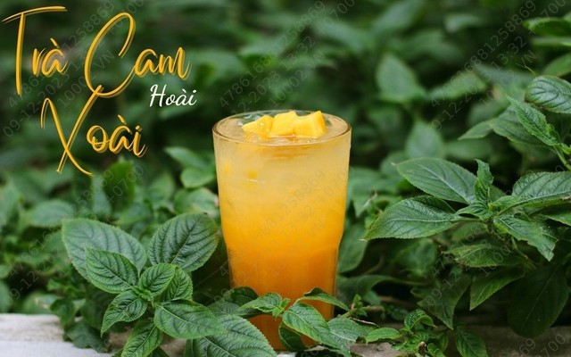 Cà Phê Hoài Nha - Cà Phê & Trà - Hồng Bàng