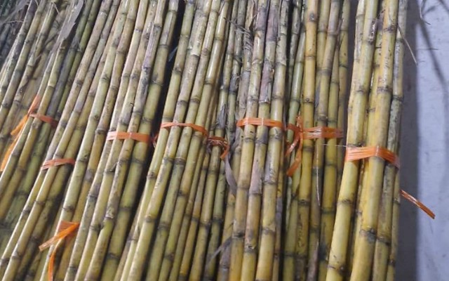 Đại Lý Mía Tuấn Hùng - Kinh Doanh Nước Mía - 216 Đường Bưởi