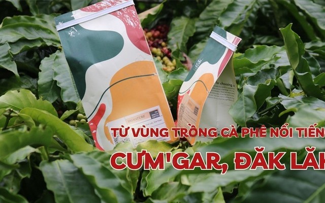 Tây Nguyên Soul - Cà Phê Chất Lượng Cao - Lê Văn Thọ